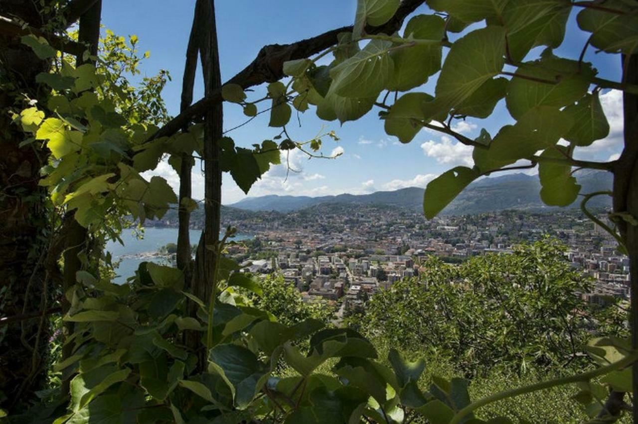 Bellavista Albonago